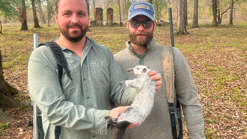 White squirrel
