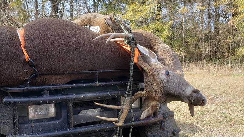 Bryce Evers downs buck