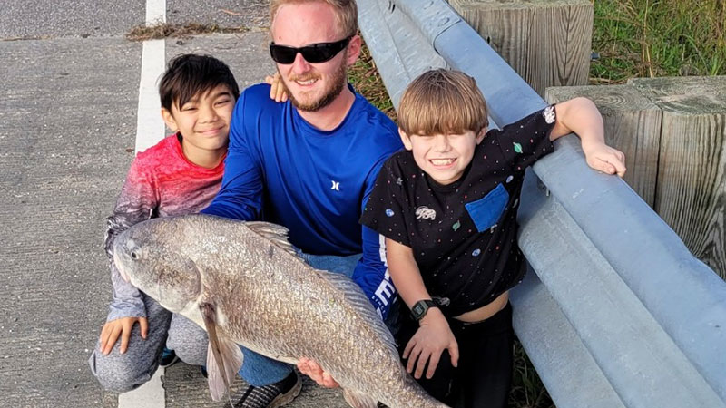 Dulac black drum