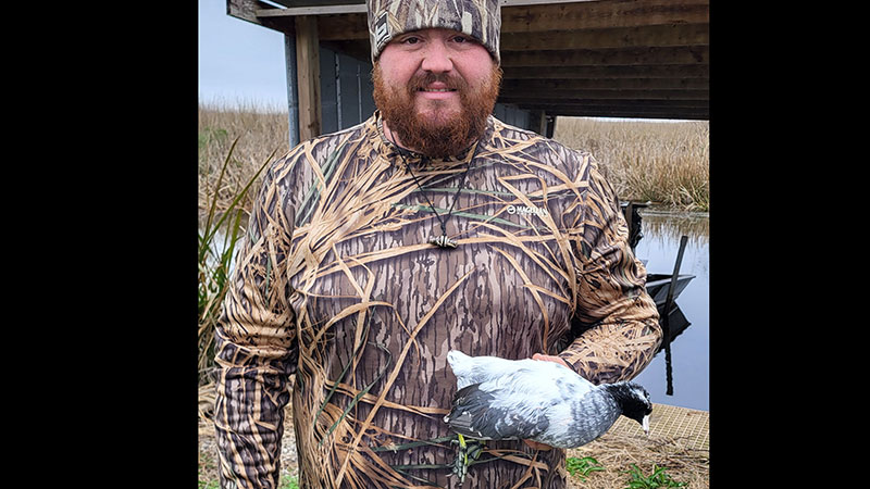 Hatch Trahan's leucistic coot