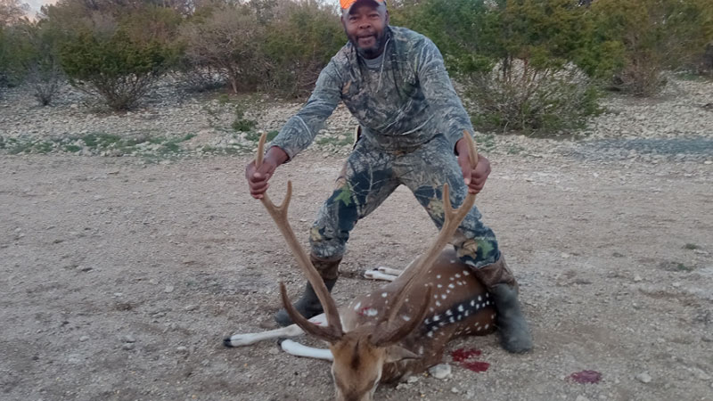 Earnest Baker's Axis deer