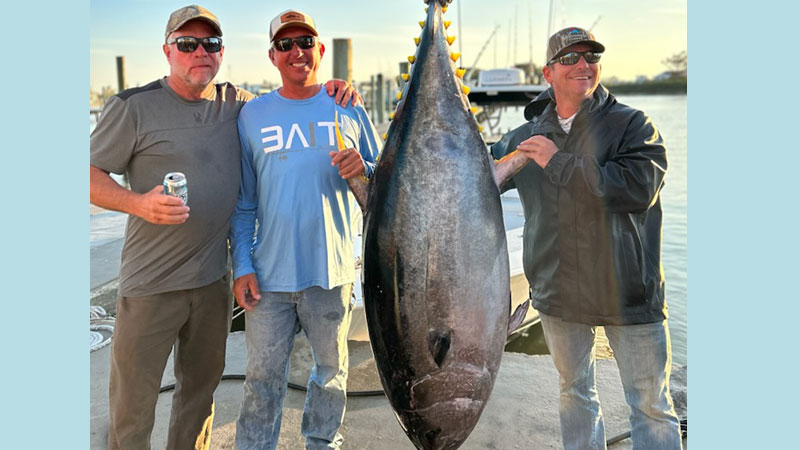 Big Venice tuna