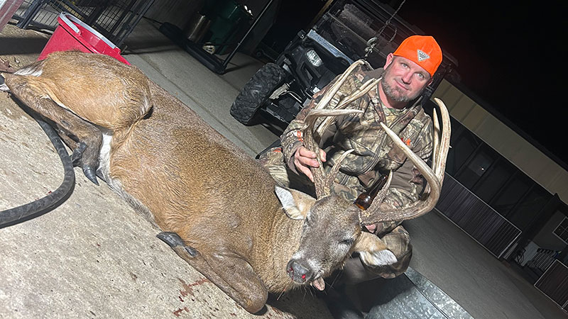 Swamp Donkey
