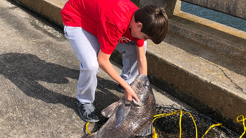 Caleb's black drum