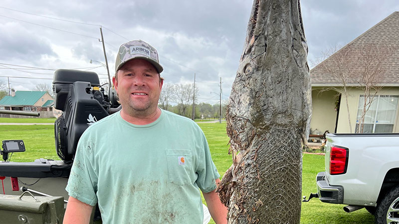 Wayne Miller's alligator gar
