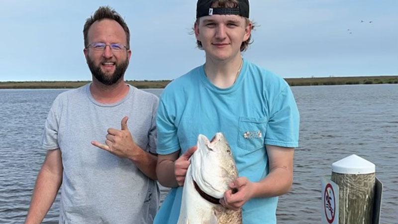 John David Guidry's bull red