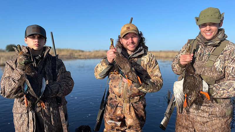 Banded mottled ducks