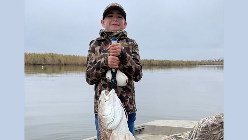 Andrew Mayeux's bull red
