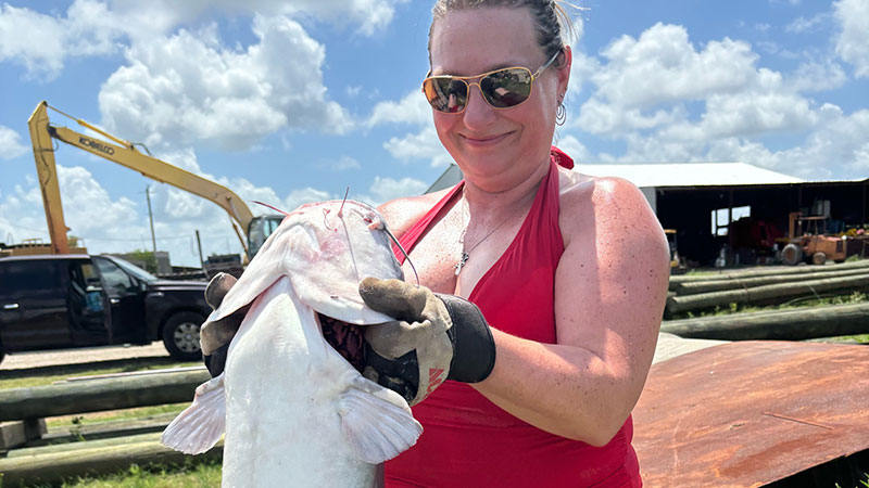 April Daigle's 32.5-pound blue cat