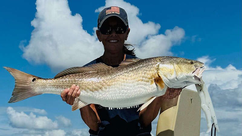 Leslie Breaux's bull red