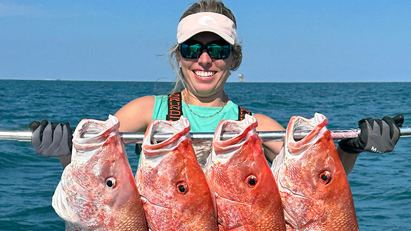 Mallory's limit of snapper